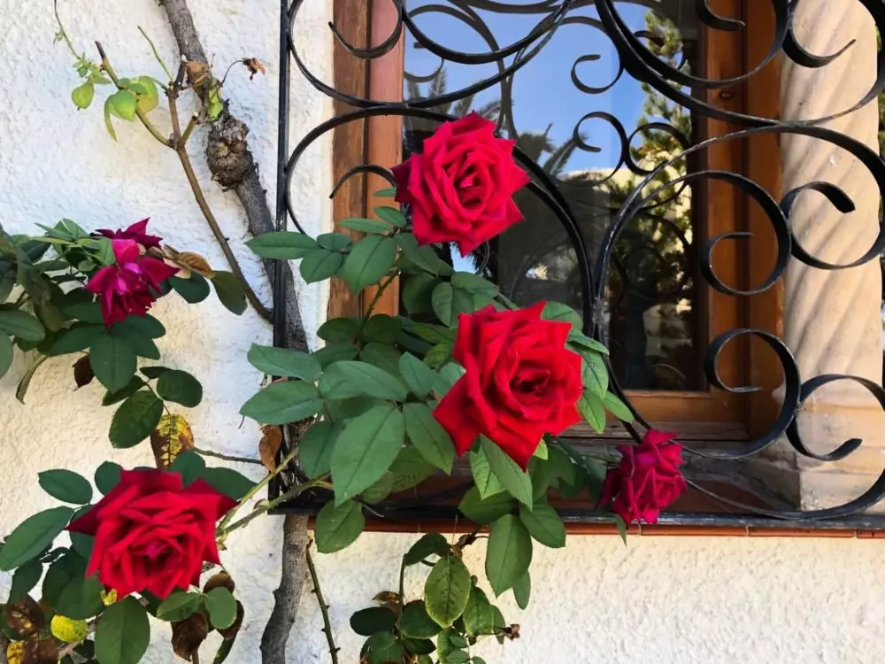 Maison de Vacances Miami Platja