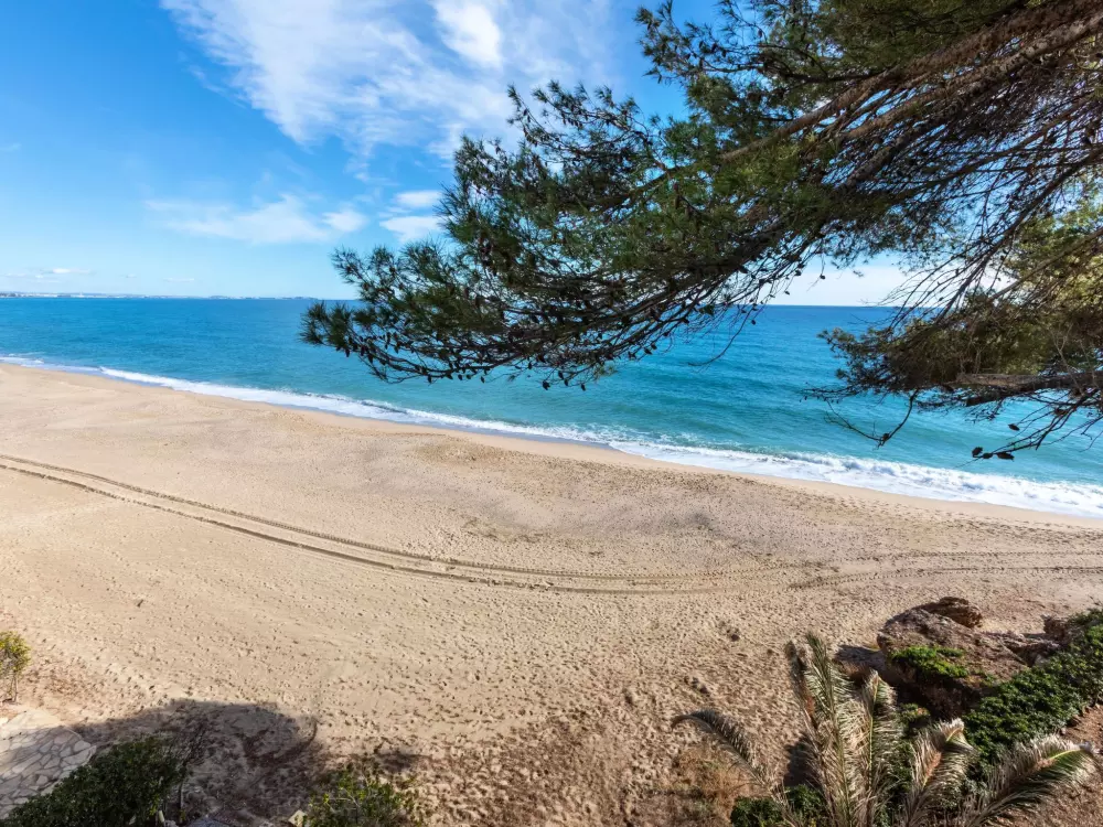 Résidence Miami Palace II