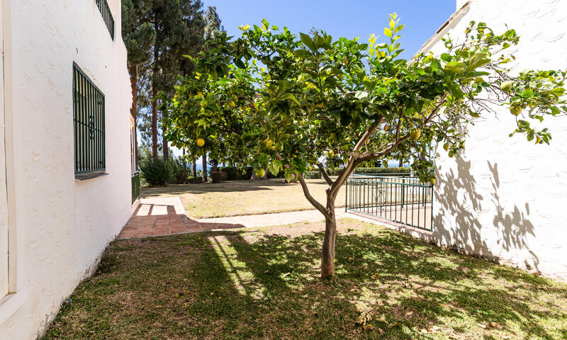 Appartements à Mijas Costa - - Mijas Costa - 29