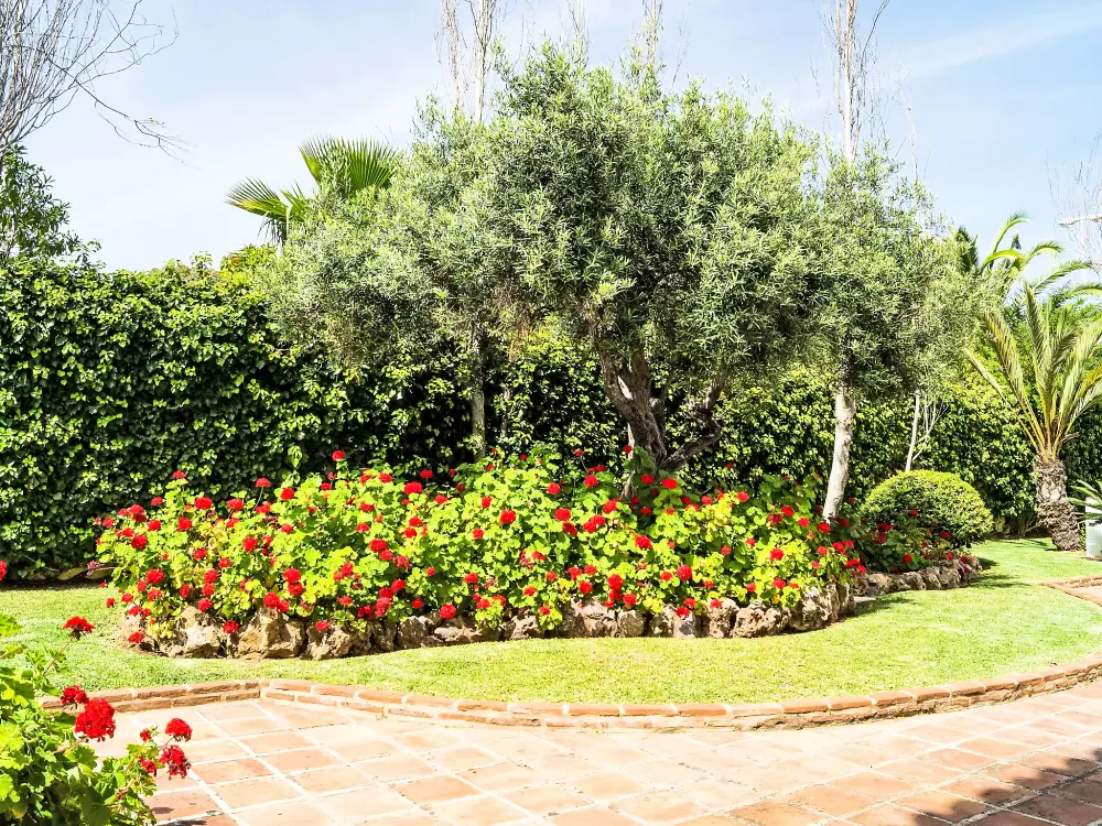 Maison de Vacances Mijas Costa