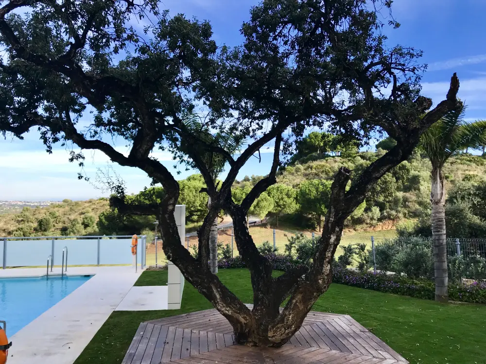 Appartements à La Cala de Mijas