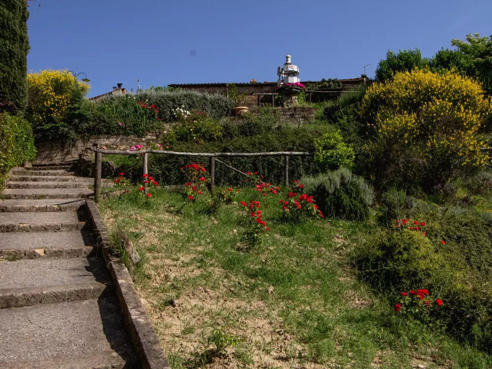 Maison de Vacances Montaione