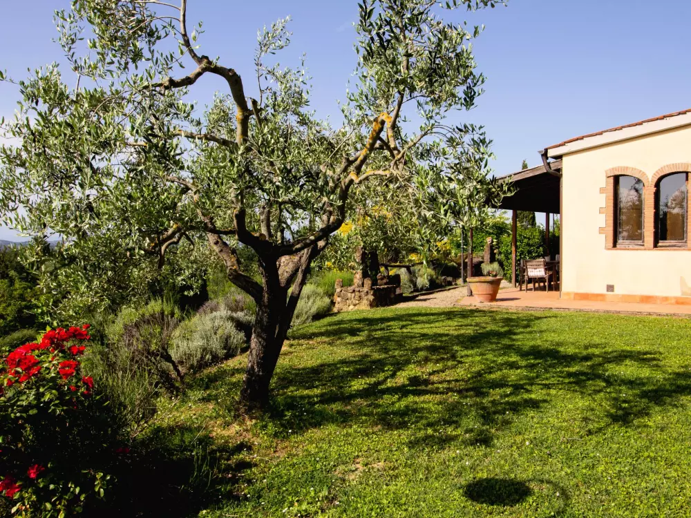 Maison de Vacances Montaione