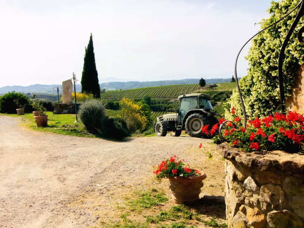 Maison de Vacances Montaione