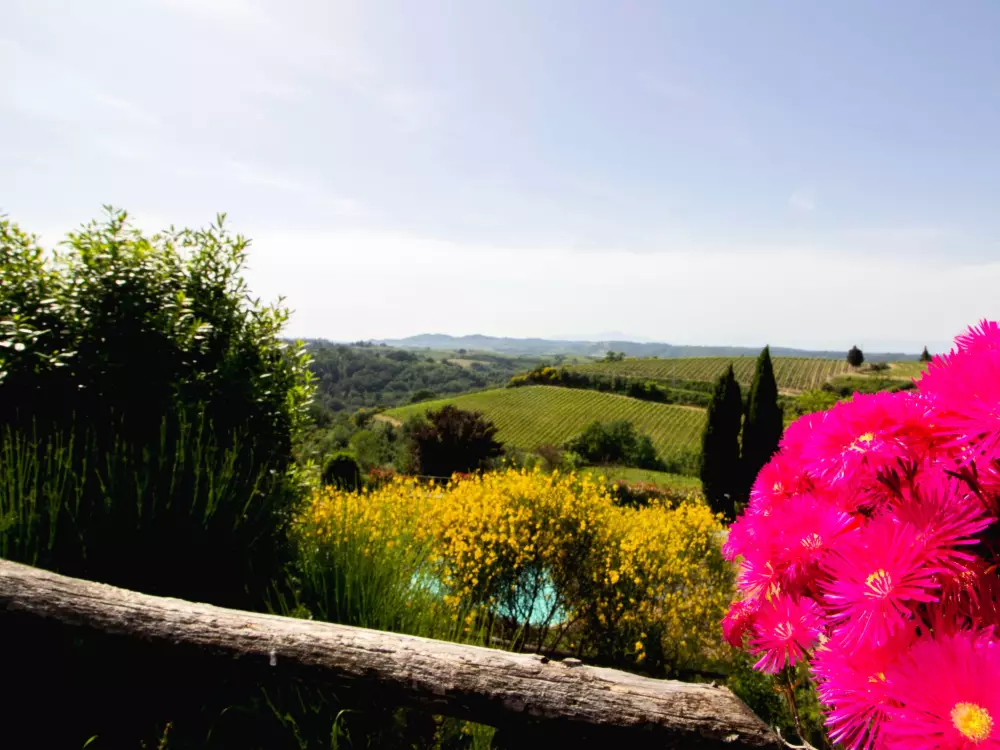 Maison de Vacances Montaione
