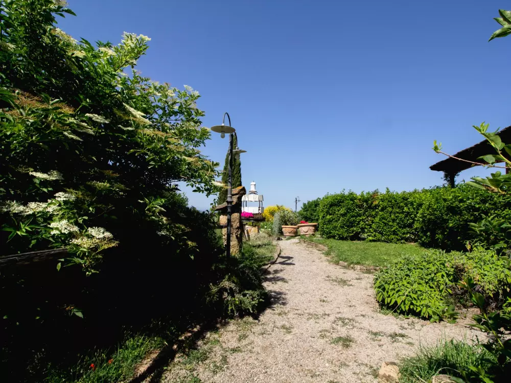 Maison de Vacances Montaione