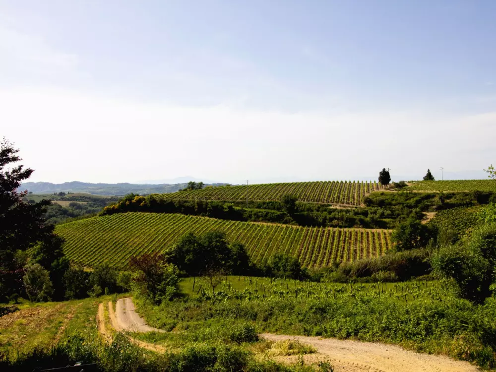 Maison de Vacances Montaione