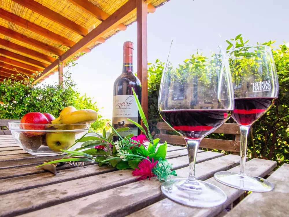 Maison de Vacances Montaione