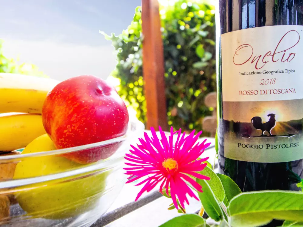 Maison de Vacances Montaione