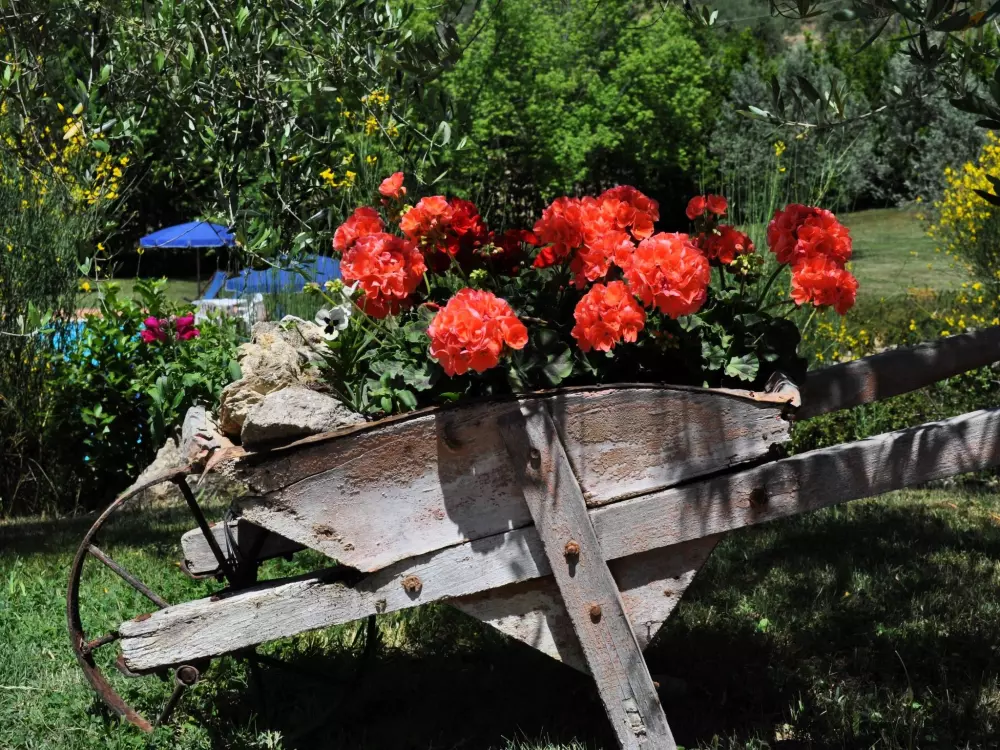 Résidence Madonnino Cypress Ferienwohnung