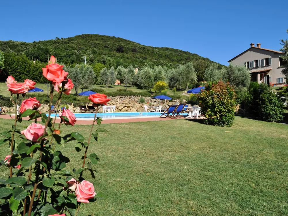 Résidence Madonnino Juniper Ferienwohnung