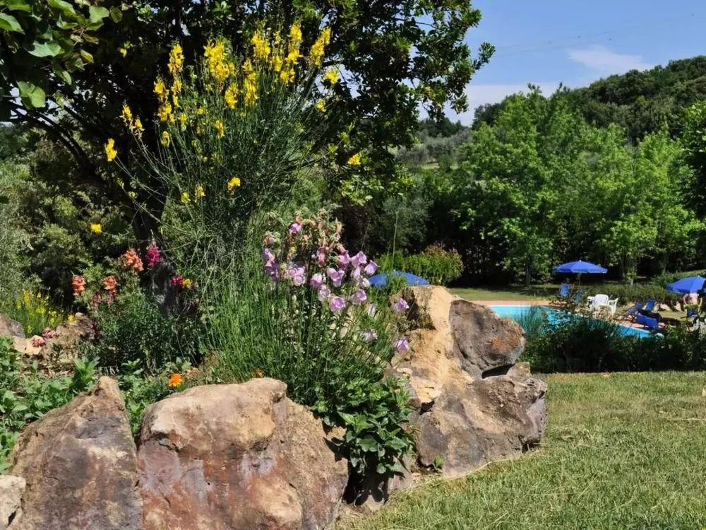 Résidence Madonnino Juniper Ferienwohnung