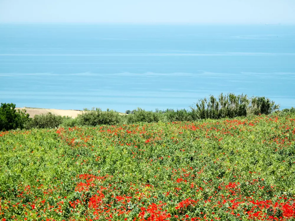Maison de Vacances Montenero di Bisaccia
