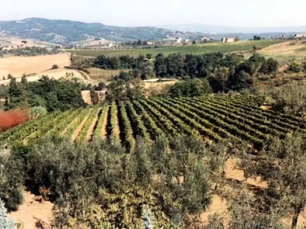 Maison de Vacances Montespertoli