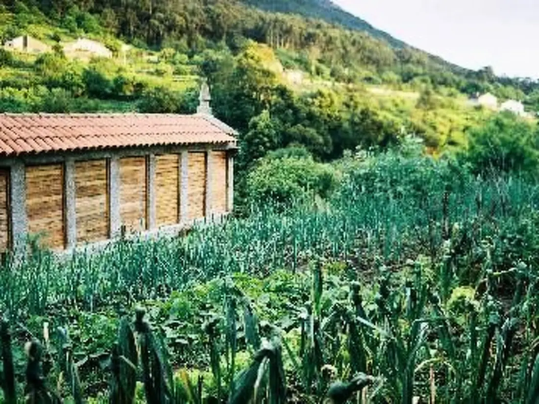 Maison de Vacances Mougas-Sta. María Oia