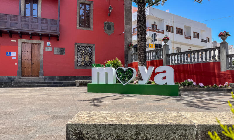 Appartements à Moya - - Moya - 17