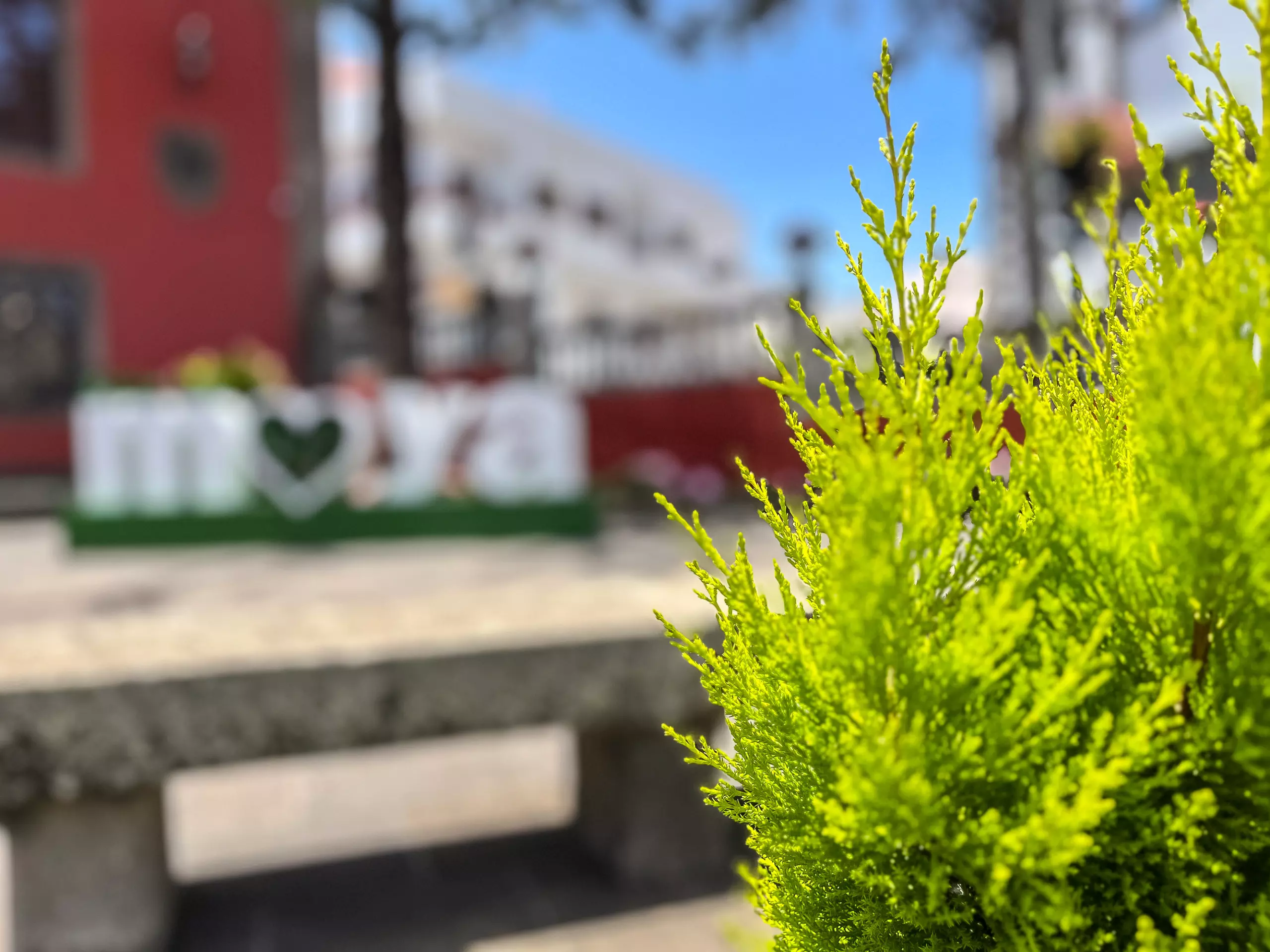 Appartements À Moya - - Moya - 1