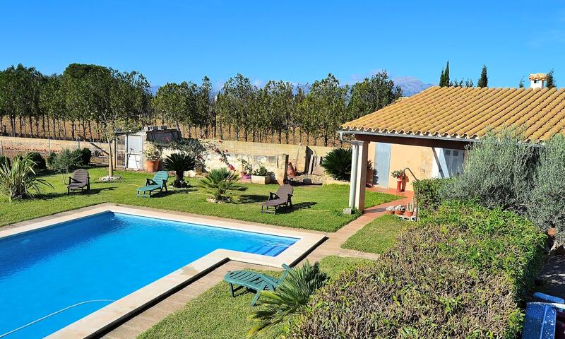 Maison à Muro - - Muro - 22