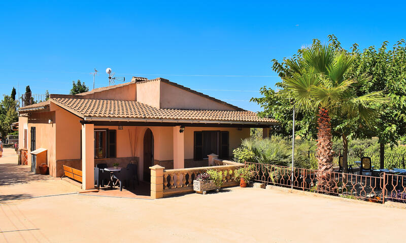 Maison à Muro - - Muro - 11