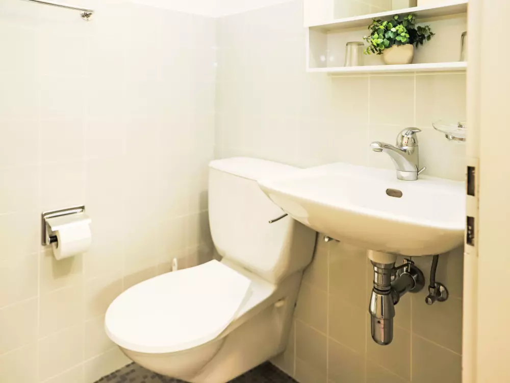 Résidence Rosablanche