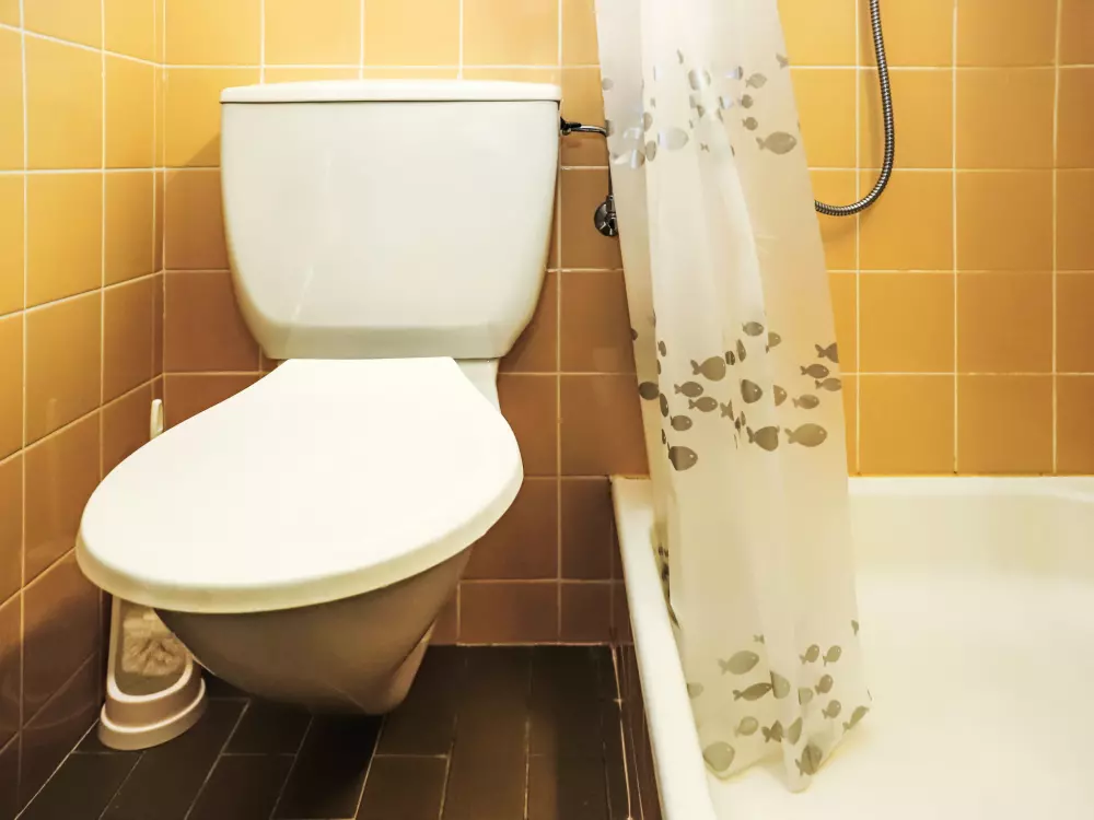 Résidence Rosablanche