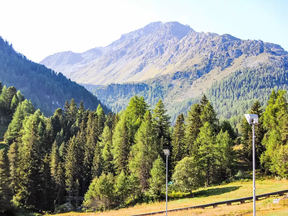 Résidence Rosablanche