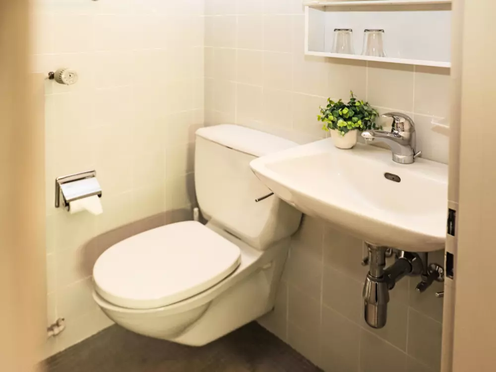 Résidence Rosablanche