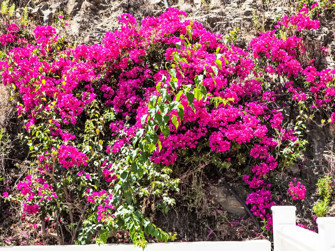 Maison de Vacances Nerja