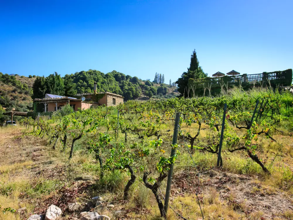 Maison de Vacances Orgiva