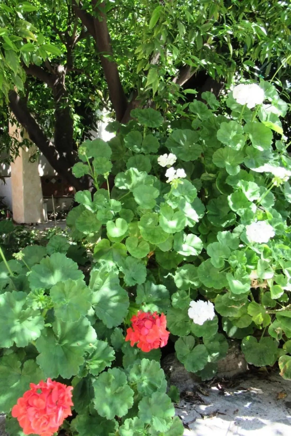 Maison de Vacances Orgiva