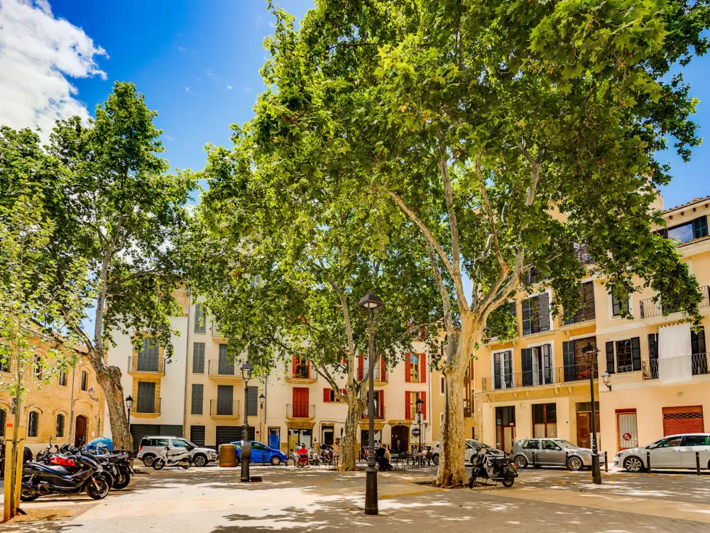 Résidence DUPLEX PALMA APARTMENT ETV/5551
