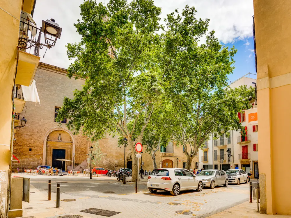 Résidence DUPLEX PALMA APARTMENT ETV/5551