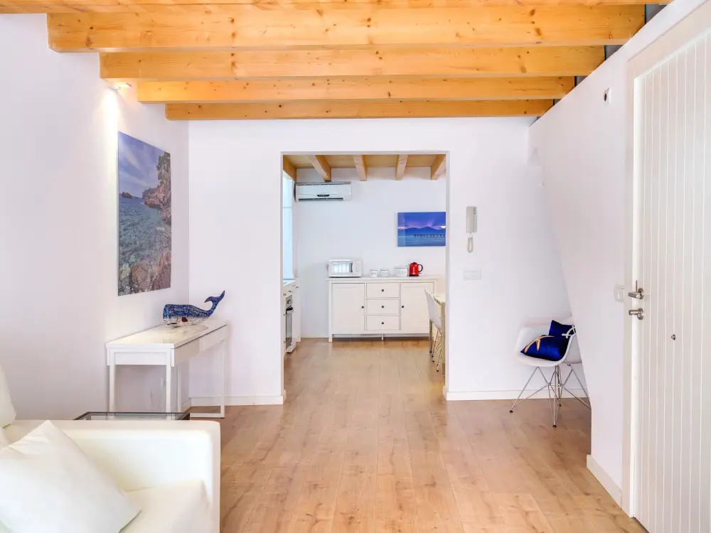 Résidence URBAN SUITES 3 PALMA STANDARD TI/75