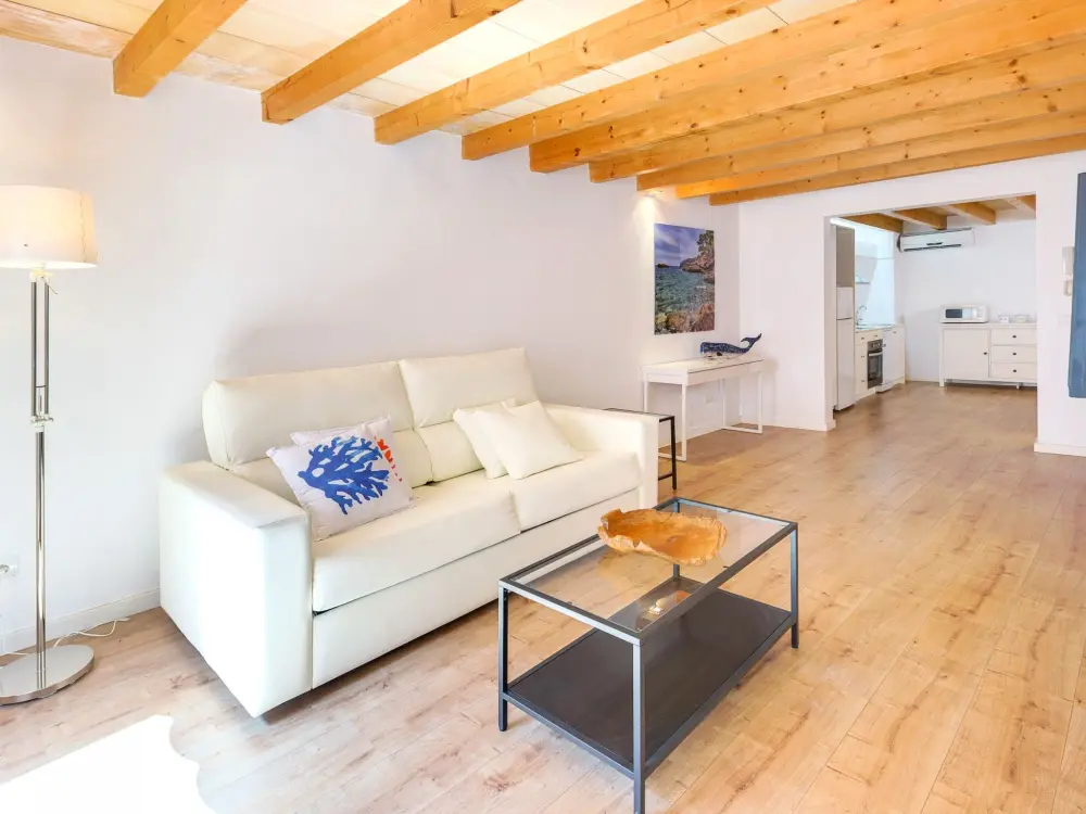 Résidence URBAN SUITES 3 PALMA STANDARD TI/75