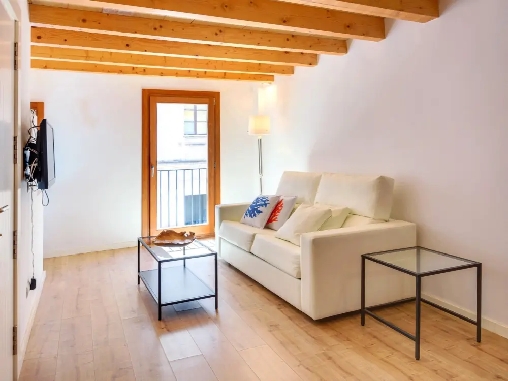 Résidence URBAN SUITES 3 PALMA STANDARD TI/75