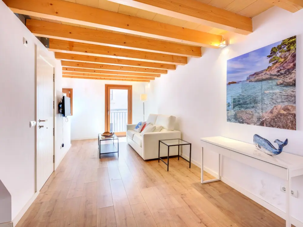 Résidence URBAN SUITES 3 PALMA STANDARD TI/75
