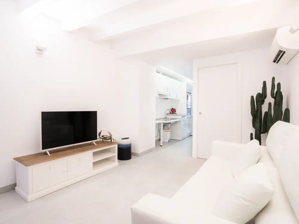 Résidence URBAN SUITES GALLERY PALMA TI/75