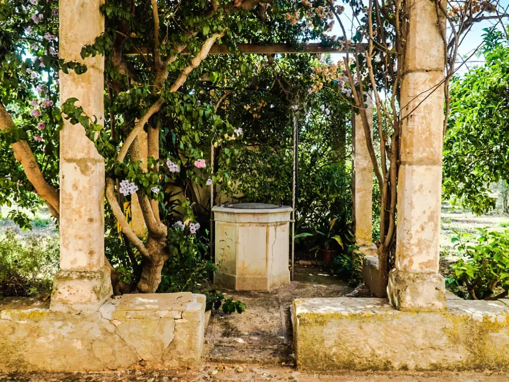 Maison de Vacances Establiments
