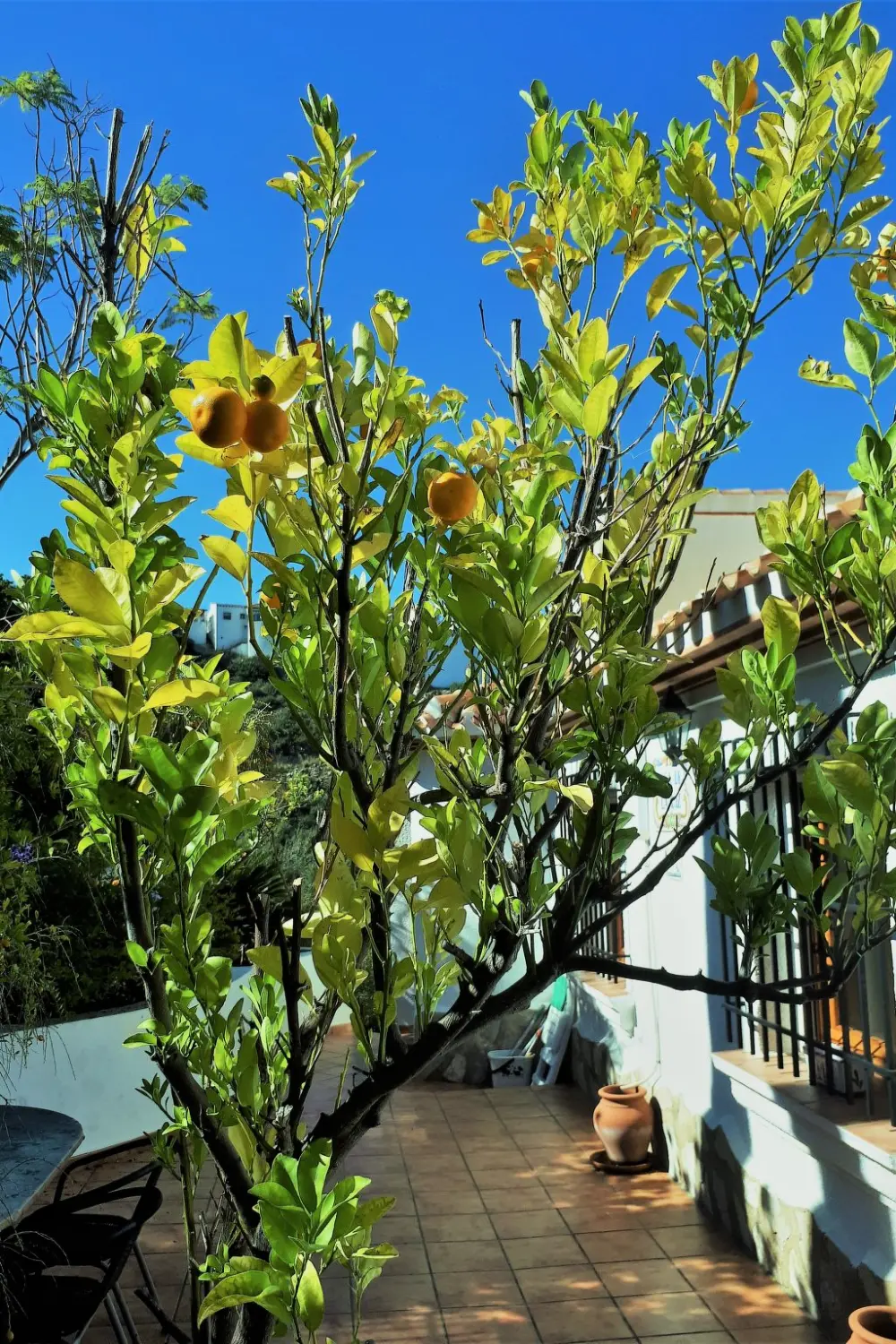 Maison de Vacances Pego