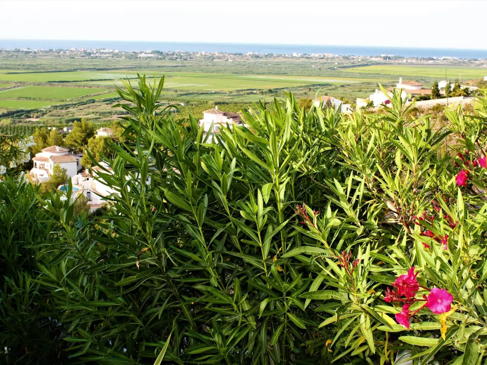 Maison de Vacances Pego