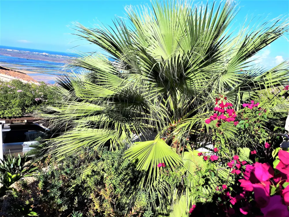 Maison de Vacances Pego