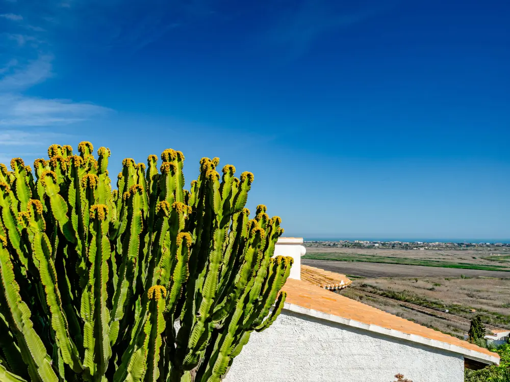 Maison de Vacances Pego