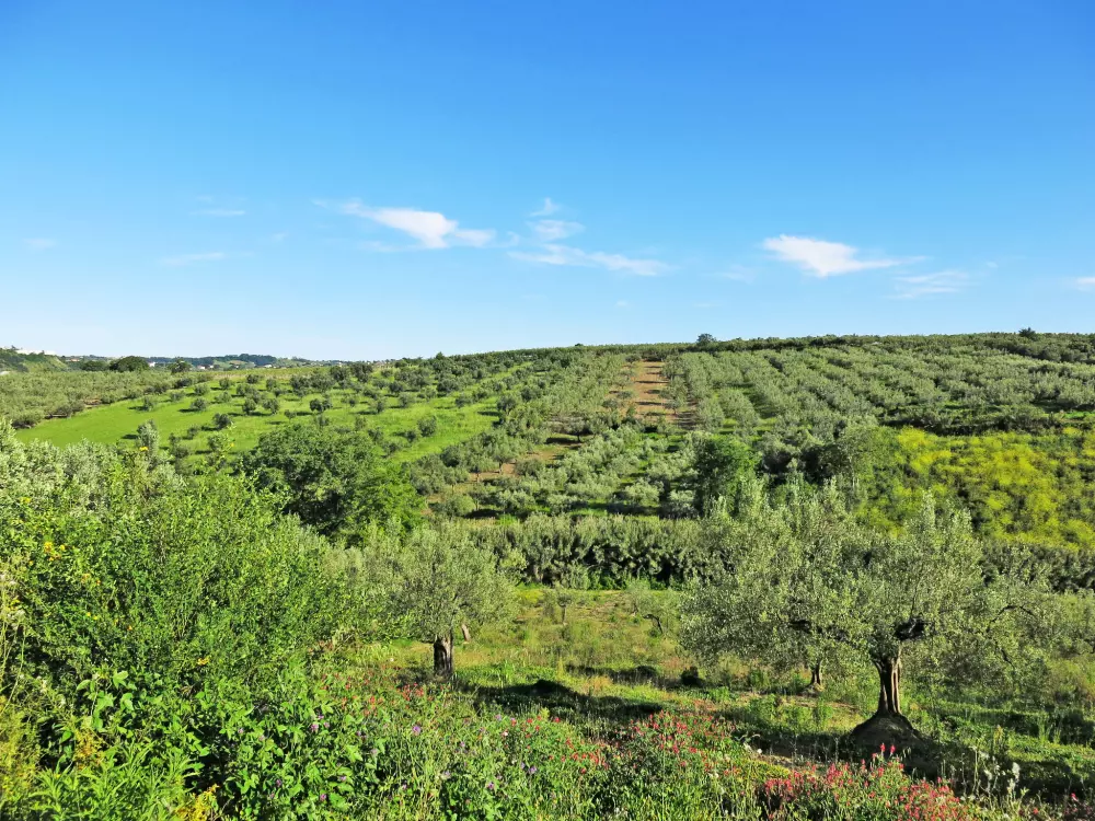 Maison de Vacances Penne