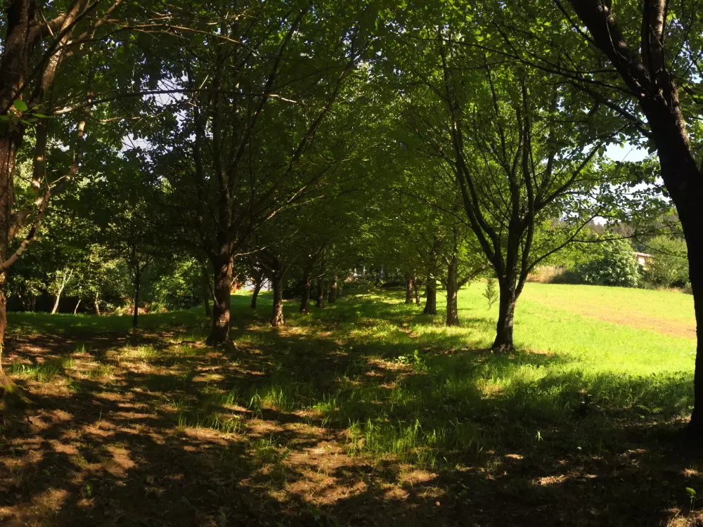 Maison de Vacances Perbes/Rías Altas