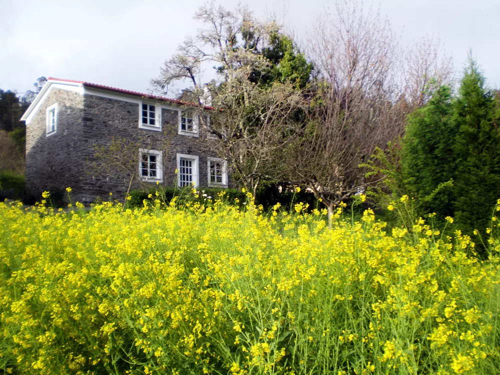 Maison de Vacances Perbes/Rías Altas