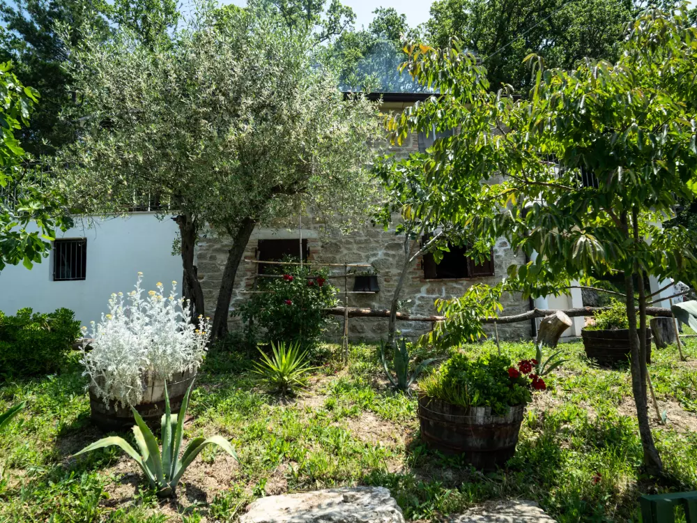 Maison de Vacances Pescara