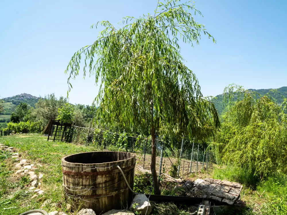 Maison de Vacances Pescara