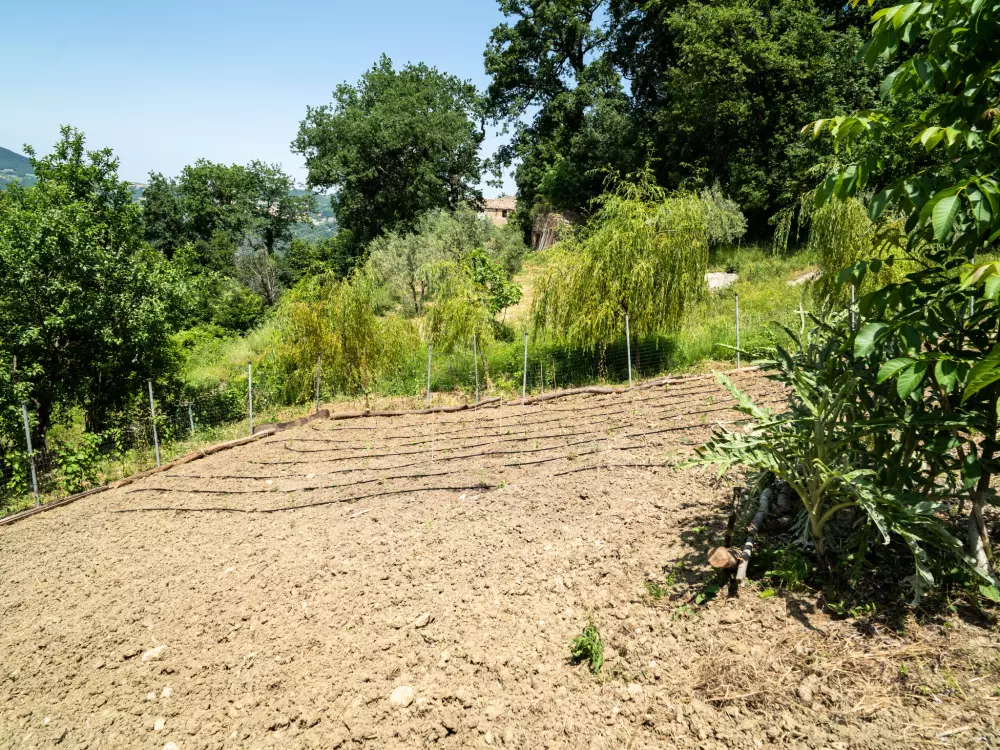 Maison de Vacances Pescara