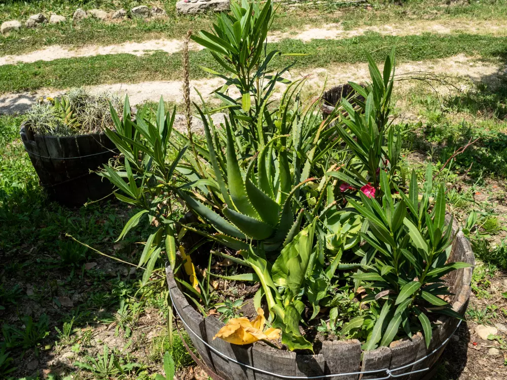 Maison de Vacances Pescara