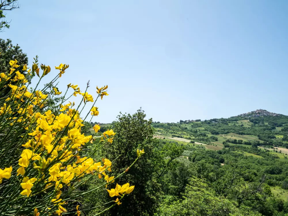 Maison de Vacances Pescara